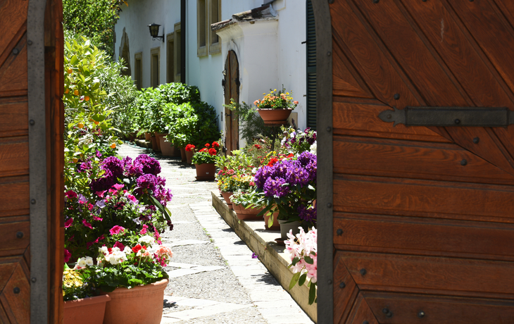 Hinterhof mit Blumen in der Stadt Rust am Neusiedler See im Burgenland