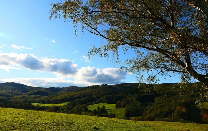 Wienerwald